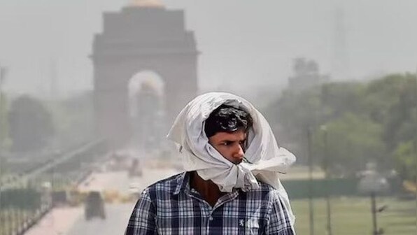 India experienced warmest February this year since 1877: IMD