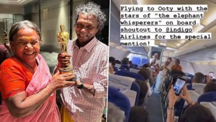 The Elephant Whisperers' couple Bomman and Bellie receive shoutout by flight captain; watch