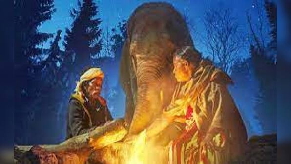 Oscars Awards 2023: India's 'The Elephant Whisperers' wins Academy Award for the Best Documentary Short Film