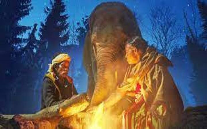 Oscars Awards 2023: India's 'The Elephant Whisperers' wins Academy Award for the Best Documentary Short Film