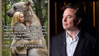Elon Musk shares a misogynist meme of a bear hugging a woman, says 'The slightest thing can turn into someone violent'
