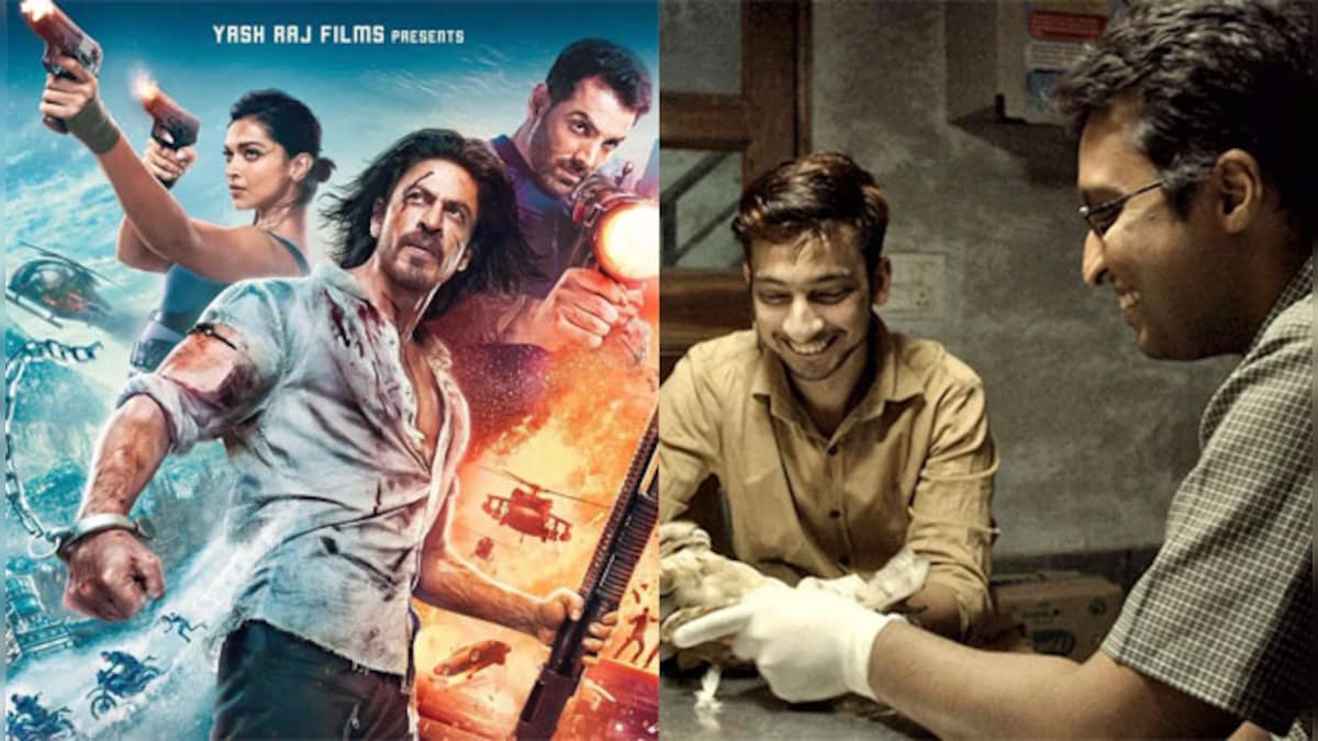 From Shah Rukh Khan's blockbuster Pathaan to the Oscar-nominated All That Breathes, here's what to see on OTT this week