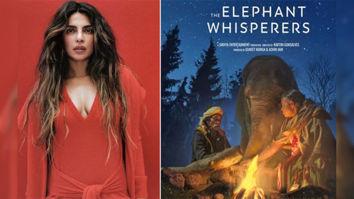 Priyanka Chopra on the Oscar nominated documentary The Elephant Whisperers: 'A trunk filled with emotions, loved it'