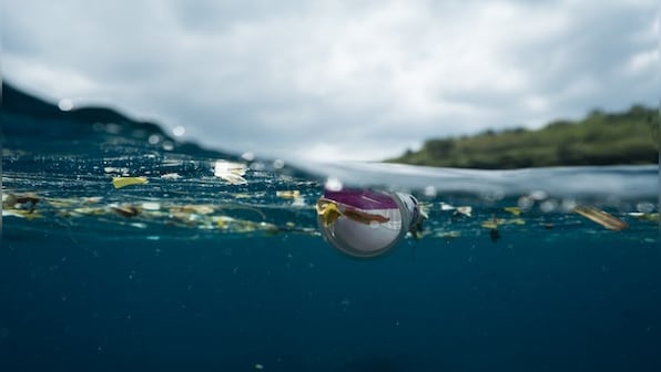 Scientists find 'plastic rocks' off Brazil coast