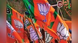 Assembly Election Results: BJP retains power in Tripura & Nagaland; hung house in Meghalaya