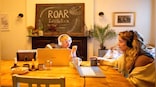 Mark Zuckerberg says ‘in-person work is better’: Are employees working from home less productive?