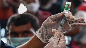 From COVID-19 to bird flu: Why are animal-to-human diseases becoming more common?