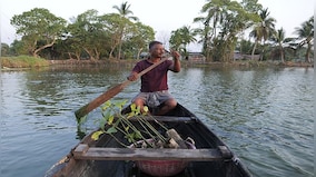 Mangrove Man: How one individual has planted 100,000 trees to fight rising waters in Kerala