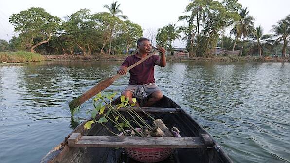 Mangrove Man: How one individual has planted 100,000 trees to fight rising waters in Kerala