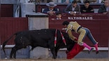 How youngsters are fuelling the revival of bullfighting in Spain