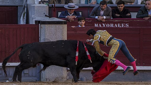 How youngsters are fuelling the revival of bullfighting in Spain How youngsters are fuelling the revival of bullfighting in Spain