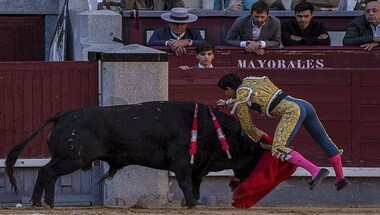 How youngsters are fuelling the revival of bullfighting in Spain