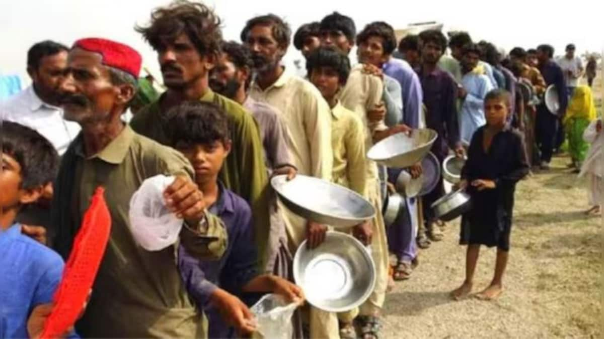 Pakistan Food Crisis: Acute shortage of wheat may lead to anarchy