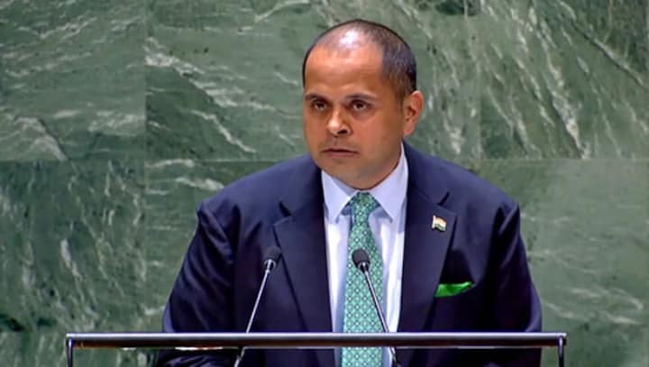 Privilege of veto vested in only five member countries goes against sovereign equality of states: India at UN