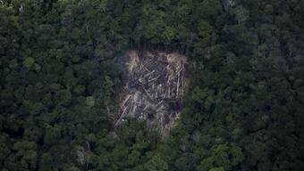 Deforestation in Brazil’s Amazon rainforest increases 14% in March compared to previous year