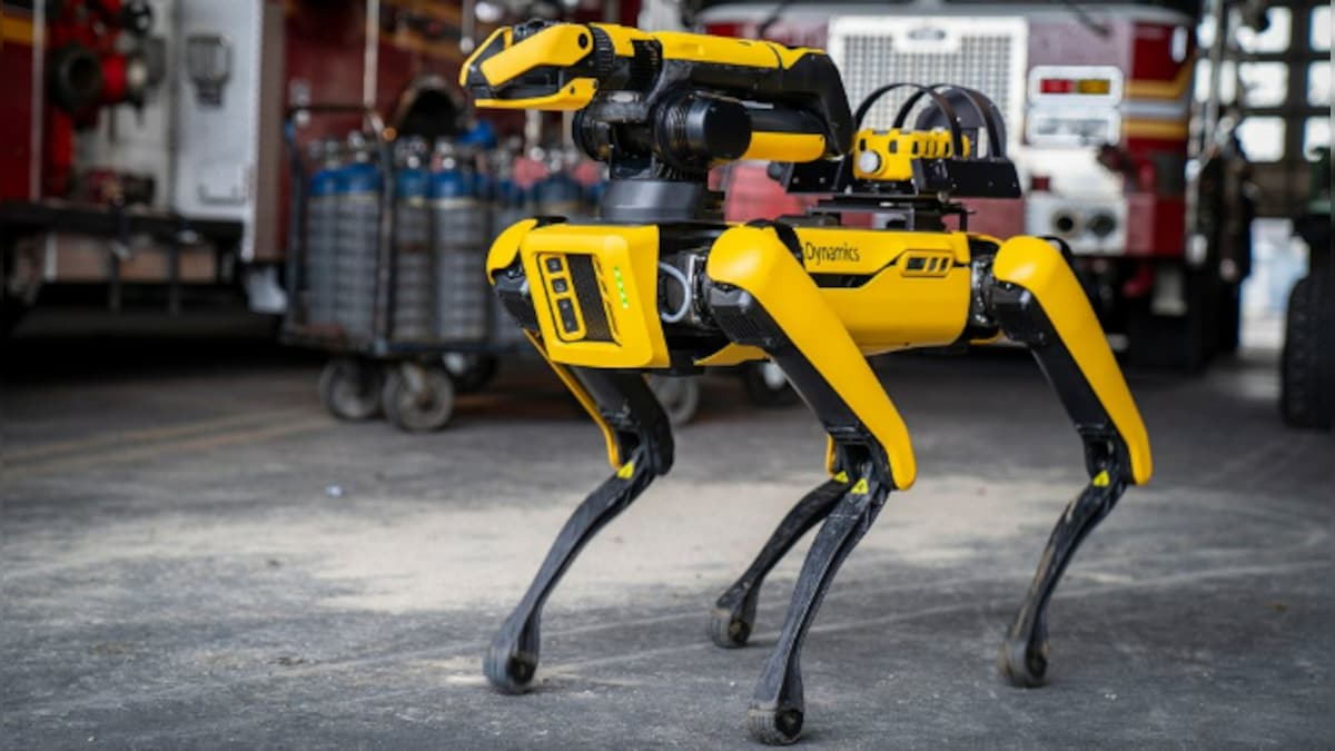 Robot dog can talk, thanks to ChatGPT; Twitter feels 'future is scary'