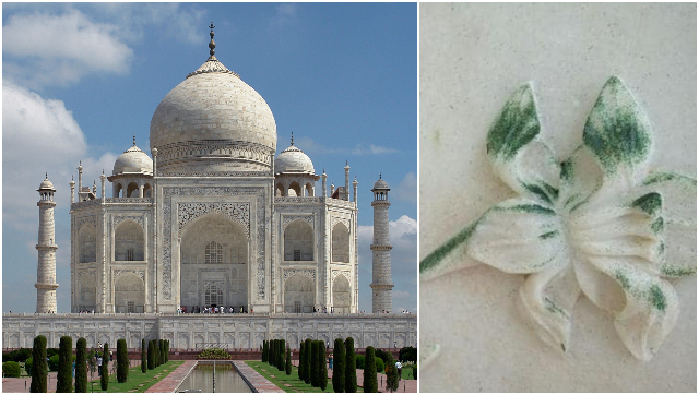 Taj Turning Green: Taj Mahal stained due to insects in Yamuna; ASI finds solution Taj Turning Green: Taj Mahal stained due to insects in Yamuna; ASI finds solution