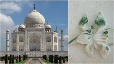 Taj Turning Green: Taj Mahal stained due to insects in Yamuna; ASI finds solution