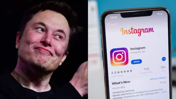 Taking down Instagram: Instagram users have IQ of less than 100, says Twitter CEO Elon Musk