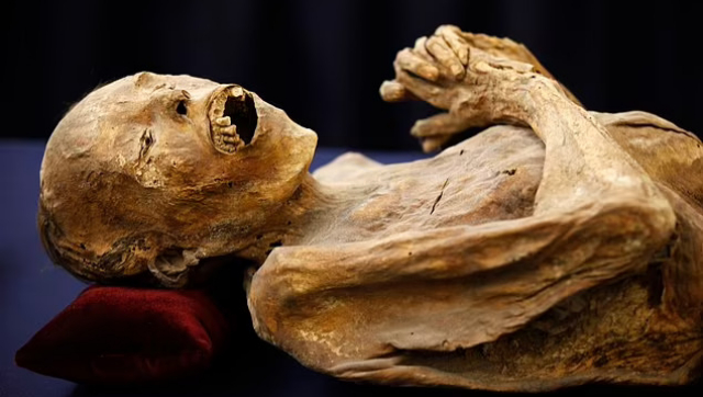 The Mummy’s plague: Mummy on display at Mexican museum has 'fungal growths' that could spread to humans The Mummy’s plague: Mummy on display at Mexican museum has 'fungal growths' that could spread to humans