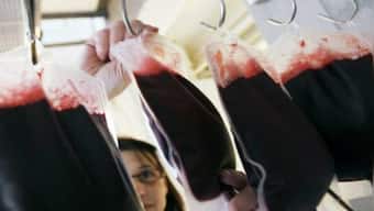 UK short of 'black blood': Only 1% active 'black' donors as sickle cell surges to top genetic condition