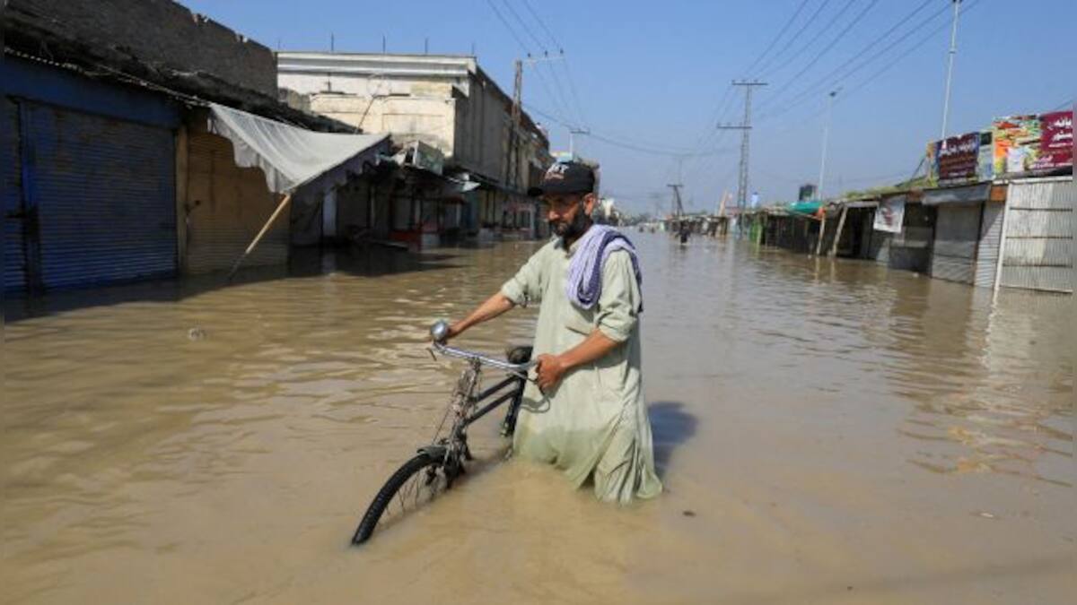 ‘Perfect storm’ of interconnected problems left more than 71 million ...