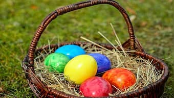 Explained: How Easter eggs evolved from chicken to chocolate