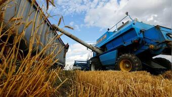 EU preps to contain internal quarrel over Ukrainian grain imports