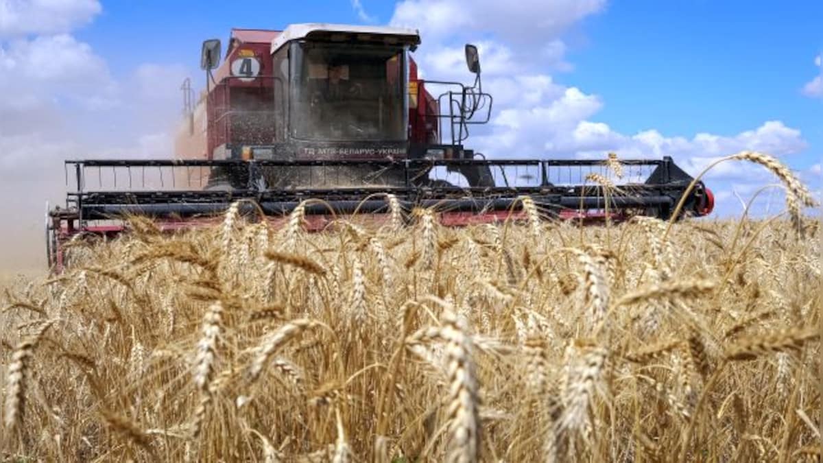 Ukraine, Croatia to export grain from Croatian ports as Russia withdraws Black Sea grain deal