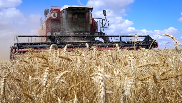 As allies shut down export route, Ukrainian farmers blocked from all sides As allies shut down export route, Ukrainian farmers blocked from all sides