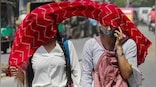 Uttar Pradesh's Prayagraj at 44.2°C, Delhi at 40.4°C: Which are the hottest places in India?