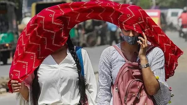 Uttar Pradesh's Prayagraj at 44.2°C, Delhi at 40.4°C: Which are the hottest places in India?