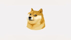 Why did Twitter change blue bird logo to doge meme Shiba Inu? What is Dogecoin?