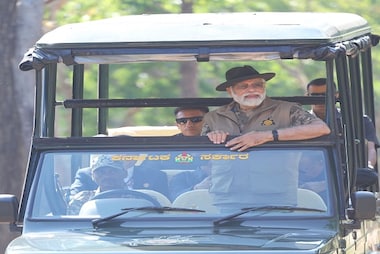 India's biodiversity key to growing tiger population: PM Modi
