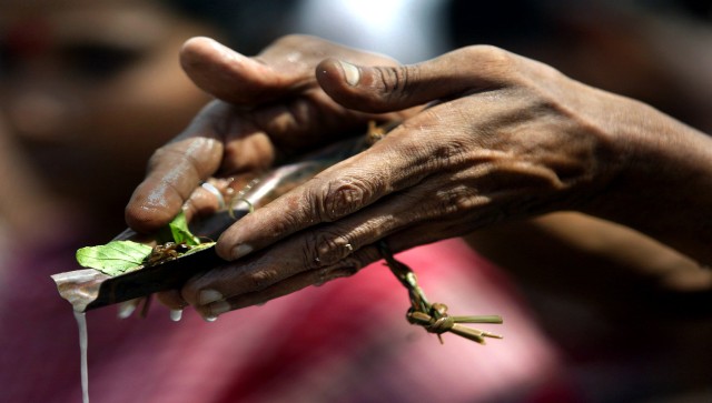 Hinduphobia’s validity has nothing to do with the merits or demerits of the term ‘Islamophobia’ Hinduphobia’s validity has nothing to do with the merits or demerits of the term ‘Islamophobia’