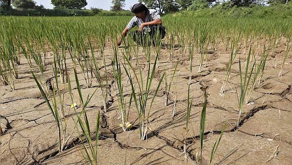 IMD predicts El Nino for this year: How will it affect monsoon rains in India?