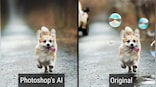 AI Meets Photoshop: Adobe’s photo editing app gets generative AI, can manipulate images using text