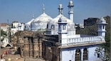SC orders stay on ASI survey at Gyanvapi mosque, asks Muslim side to approach HC soon