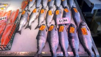Ukraine War: Japan called out by Canada over imports of Russian seafood & energy