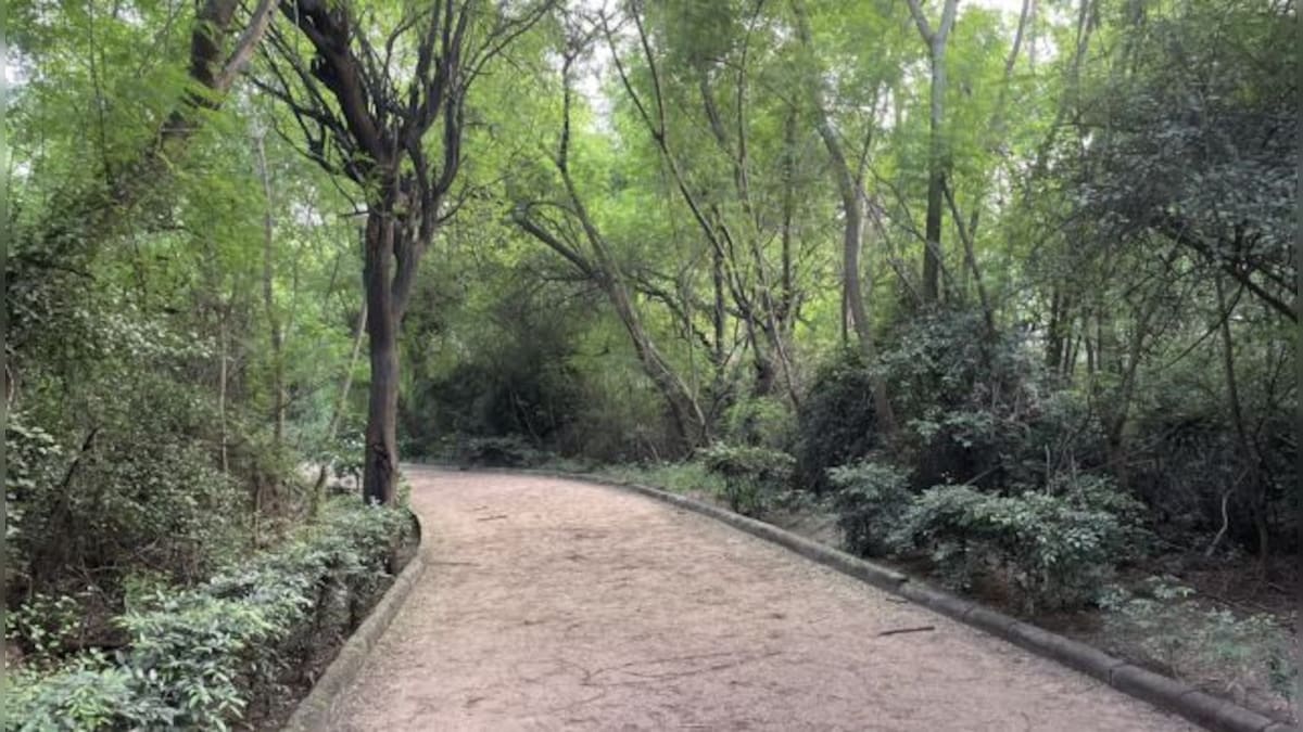 Pink Parks: Delhi to soon get 250 parks where men WON'T be allowed