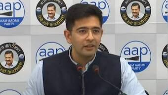 Delhi liquor policy case: Raghav Chadha, 3rd AAP leader, named in supplementary chargesheet