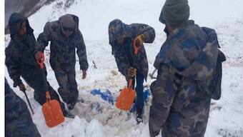 Five people out in search of 'Himalayan Viagra' missing in Nepal avalanche