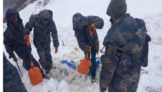 Five people out in search of 'Himalayan Viagra' missing in Nepal avalanche Five people out in search of 'Himalayan Viagra' missing in Nepal avalanche