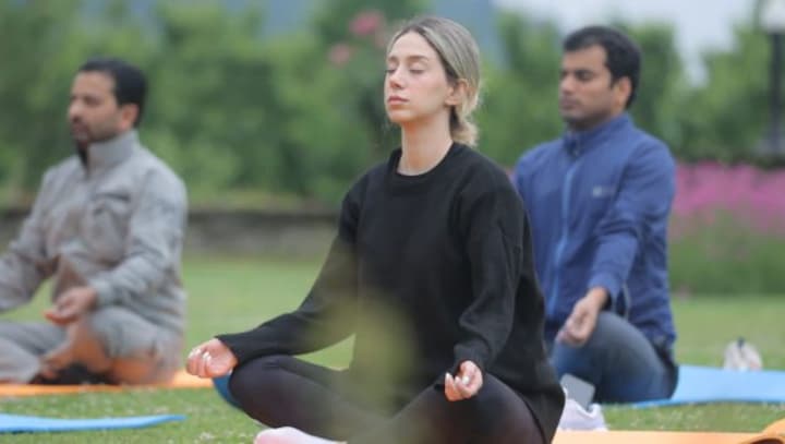 WATCH: G20 TWG meeting delegates mesmerised with Srinagar, engage in yoga