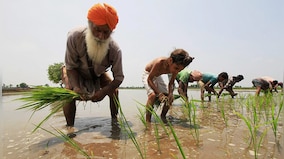 Thrust required to quench thirst of Indian agriculture: Analysing the role of private sector