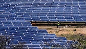 Prime Minister Narendra Modi's nine years: Going green