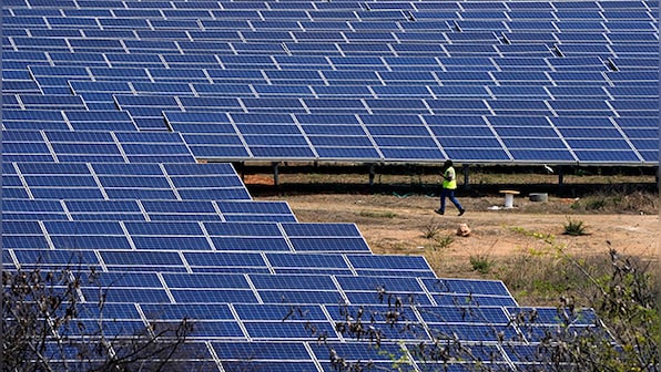 Prime Minister Narendra Modi's nine years: Going green