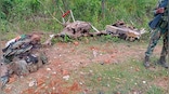 Off-centre | The China-Pakistan Anti-India Axis: Decoding the Poonch and Dantewada attacks