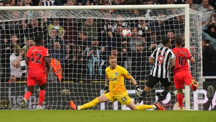 Newcastle on brink of Champions League as Callum Wilson shines against Brighton