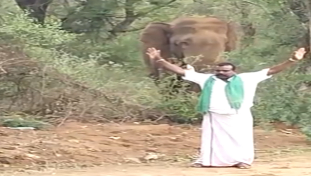 Viral: Man teases elephant with folded hands; his 'antics' anger internet Viral: Man teases elephant with folded hands; his 'antics' anger internet